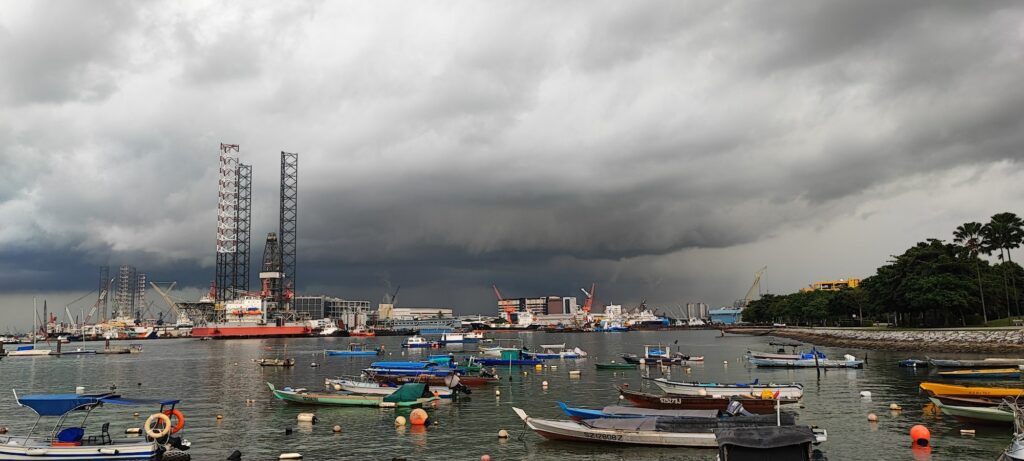 View of boats from West Coast Park