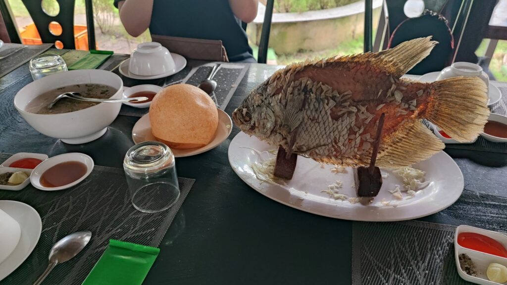 Fried fish for lunch