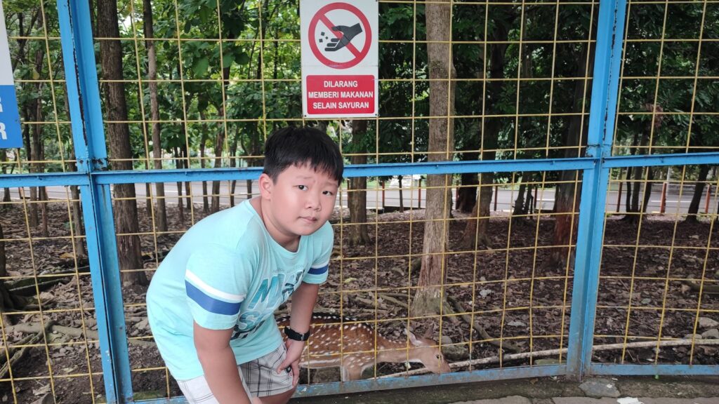 Picture of a boy in front of deer cage